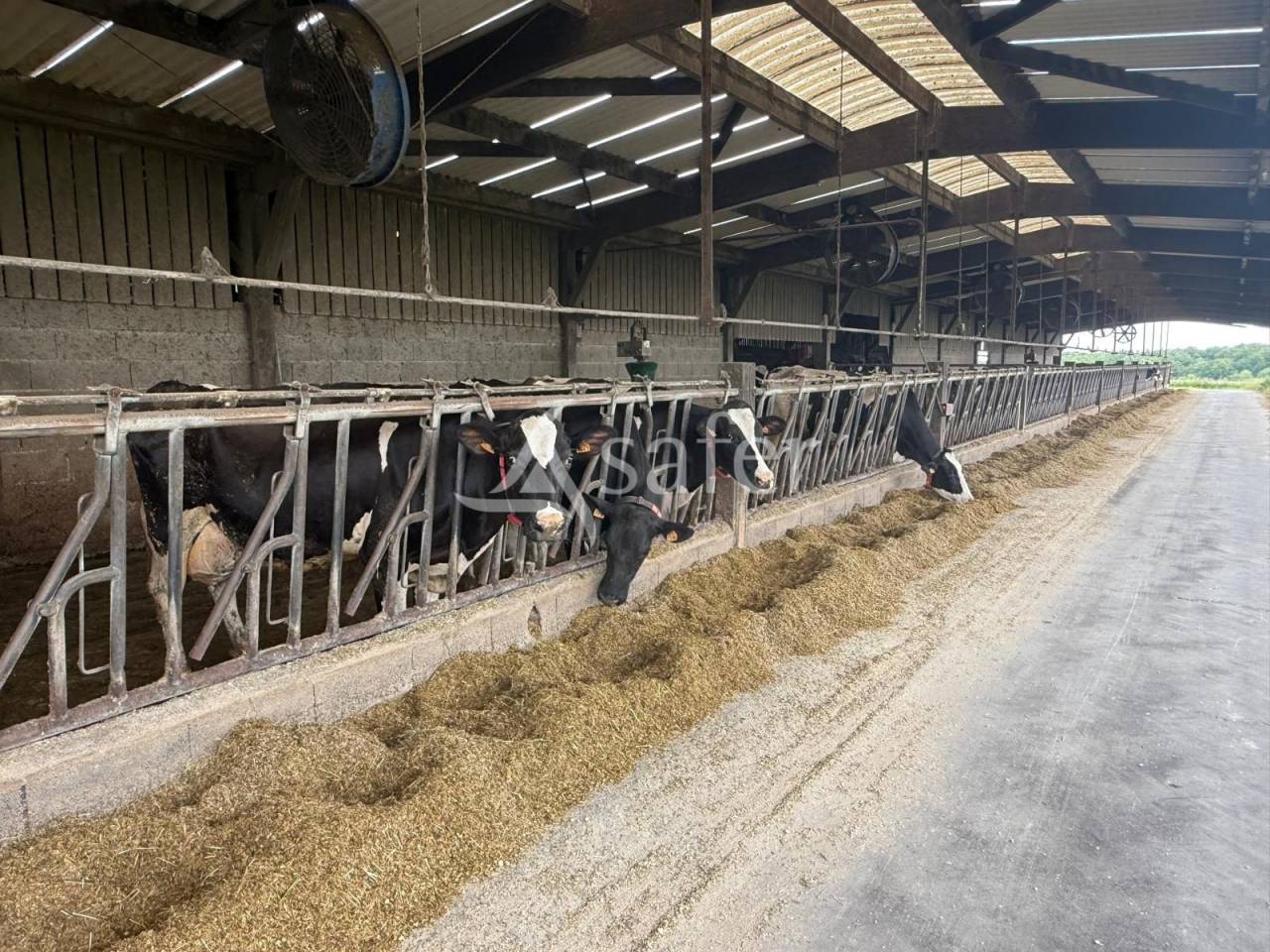 Azienda lattaia In vendita Indre-et-Loire