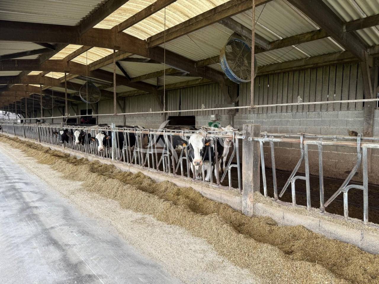 Azienda lattaia In vendita Indre-et-Loire