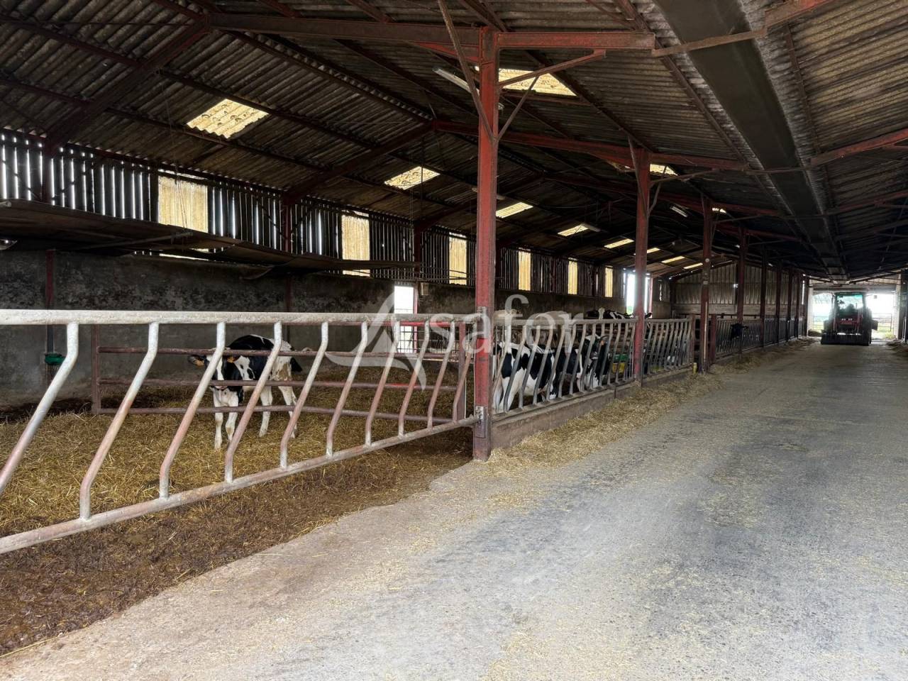 Azienda lattaia In vendita Indre-et-Loire