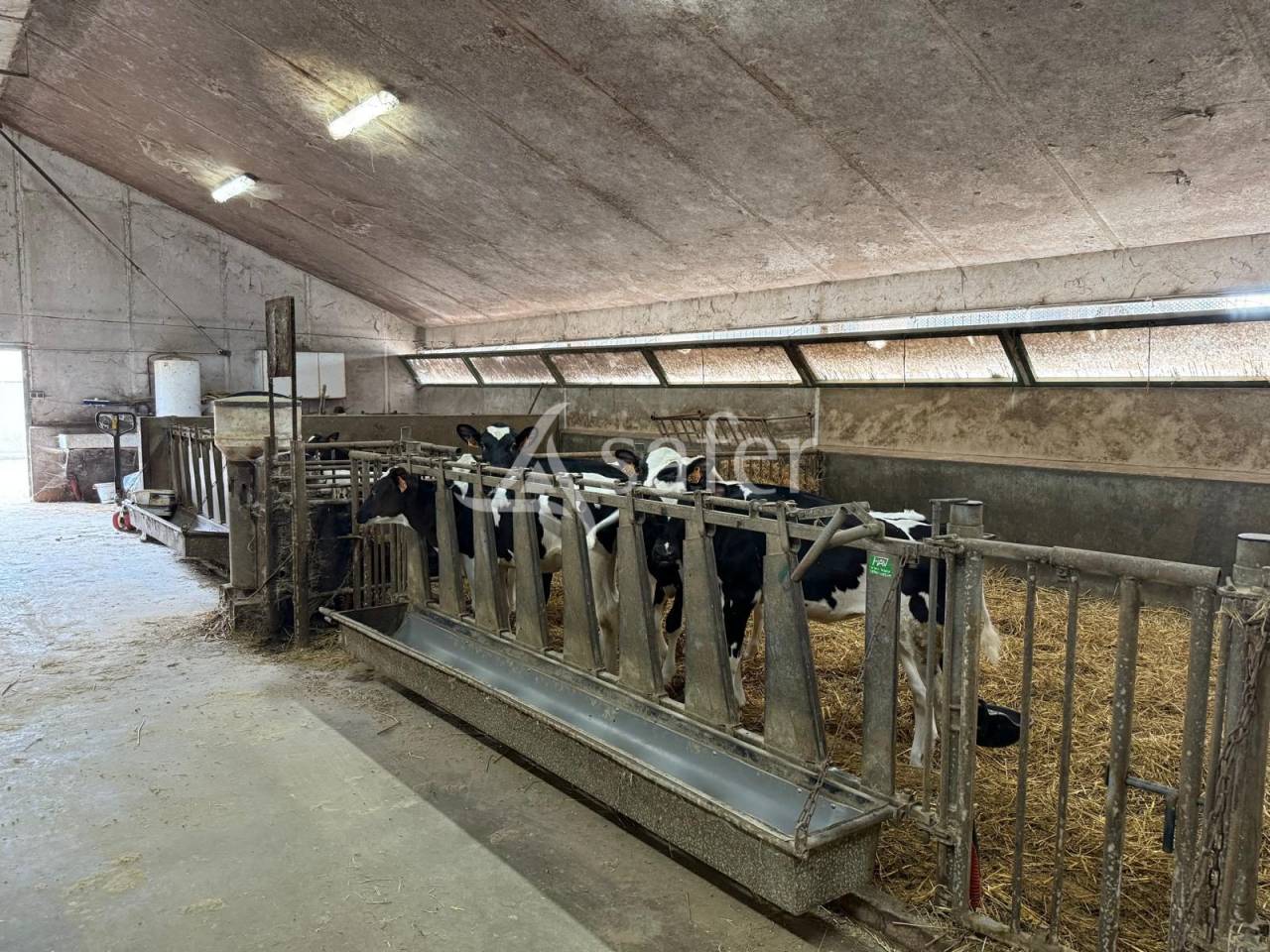 Azienda lattaia In vendita Indre-et-Loire