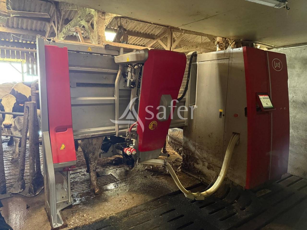 Azienda lattaia In vendita Indre-et-Loire