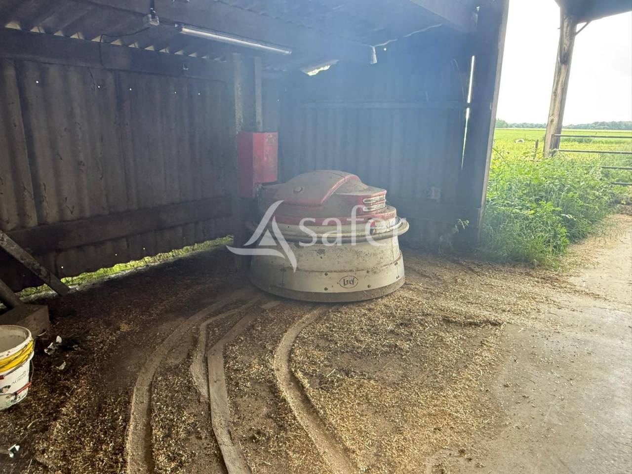 Azienda lattaia In vendita Indre-et-Loire