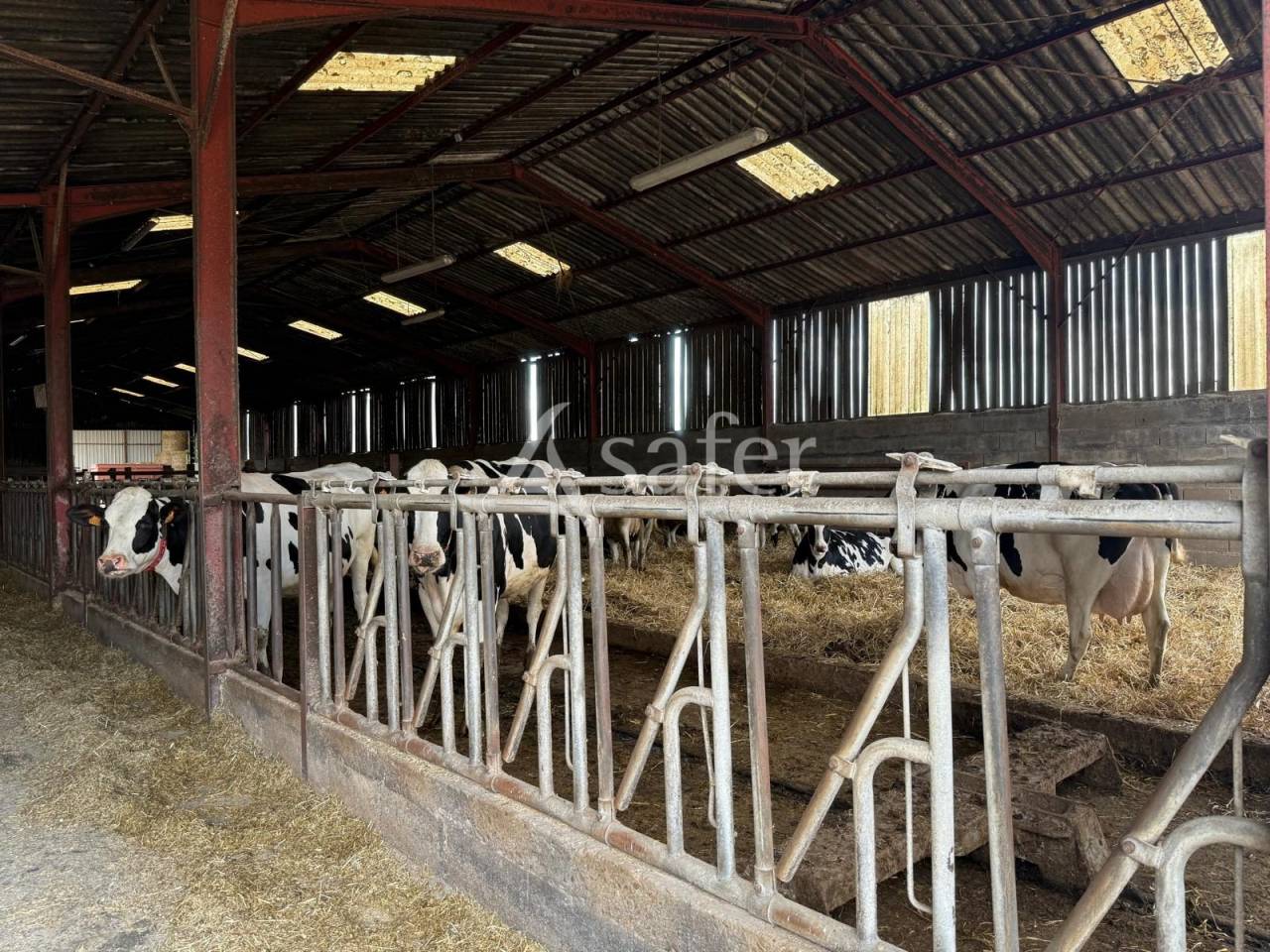 Azienda lattaia In vendita Indre-et-Loire