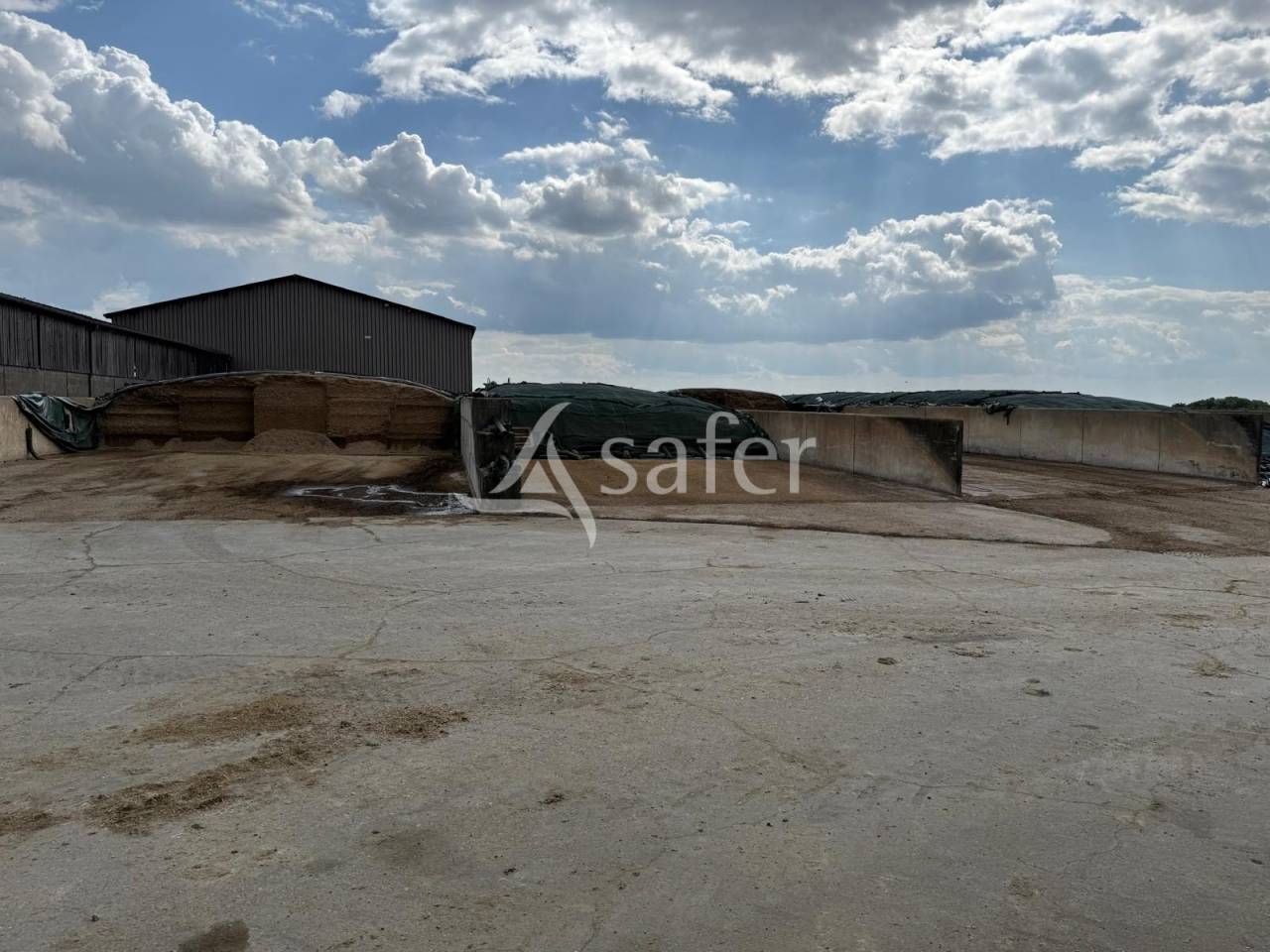 Azienda lattaia In vendita Indre-et-Loire