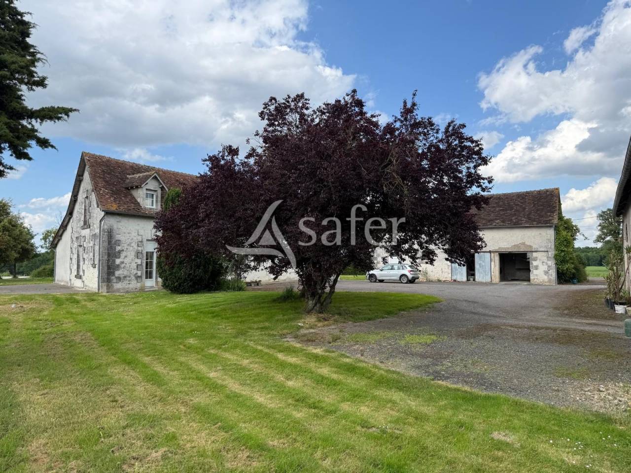 Azienda lattaia In vendita Indre-et-Loire