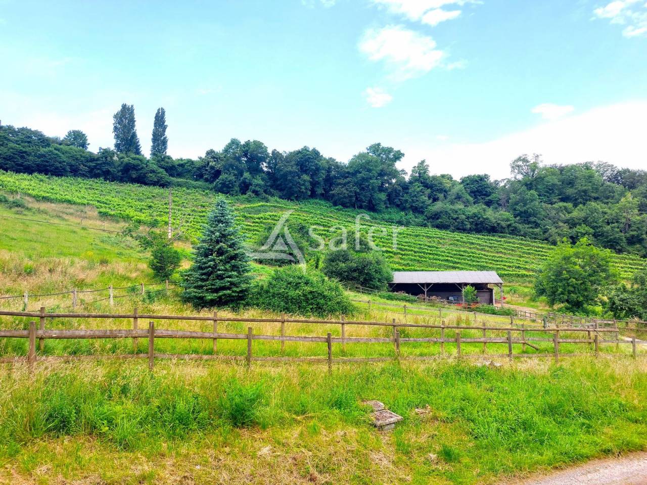 Azienda agricola In vendita Pyrénées-Atlantiques
