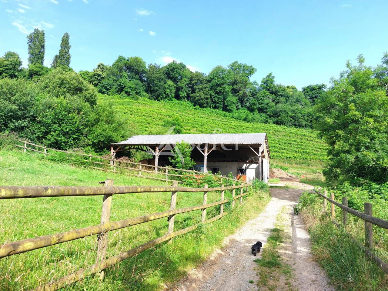 Azienda agricola In vendita Pyrénées-Atlantiques