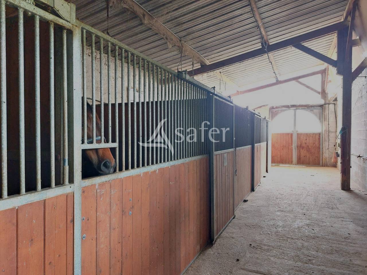 Azienda agricola In vendita Pyrénées-Atlantiques