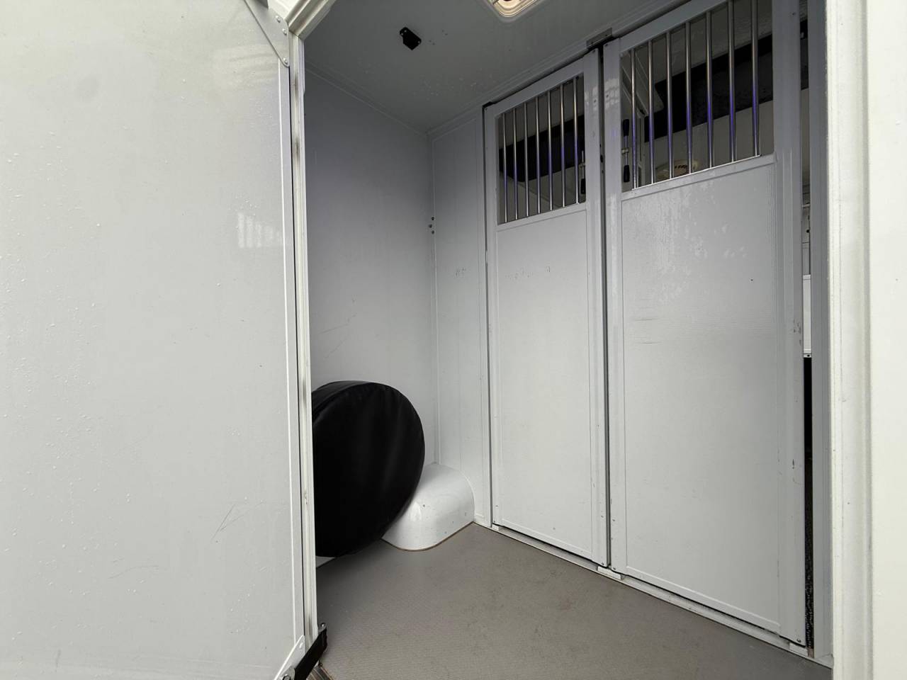 Van per Cavalli MTM FILOVAN MASTER  2016 Occasione