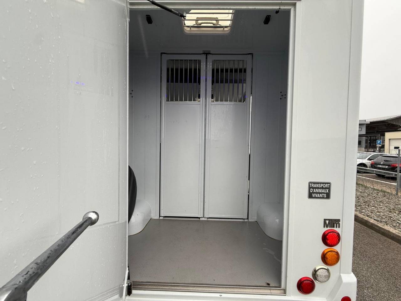 Van per Cavalli MTM FILOVAN MASTER  2016 Occasione