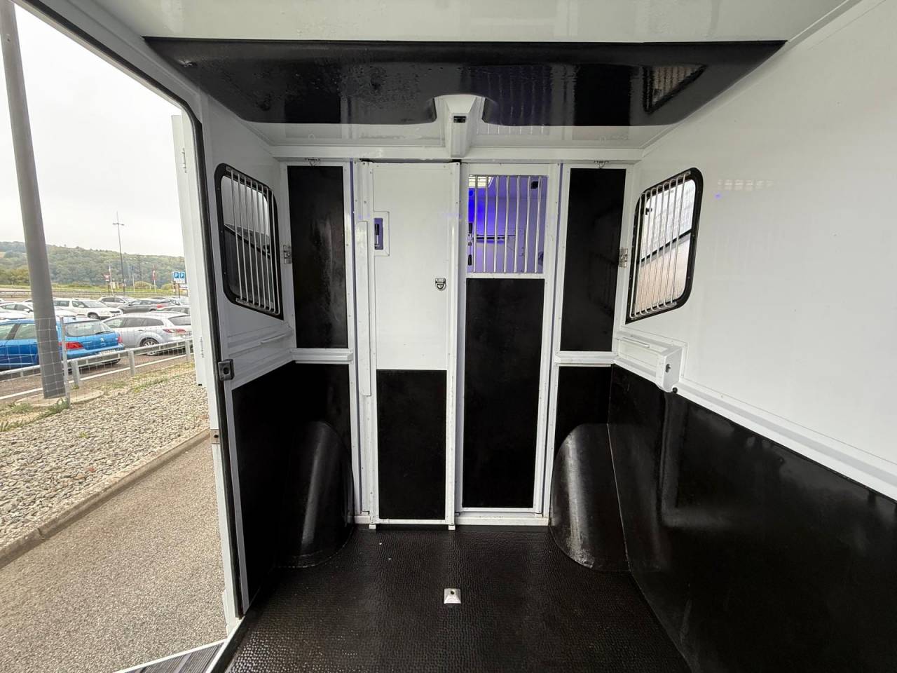 Van per Cavalli MTM FILOVAN MASTER  2016 Occasione