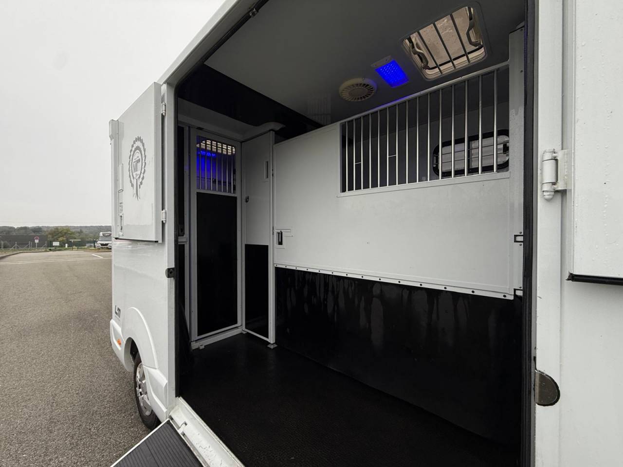 Van per Cavalli MTM FILOVAN MASTER  2016 Occasione