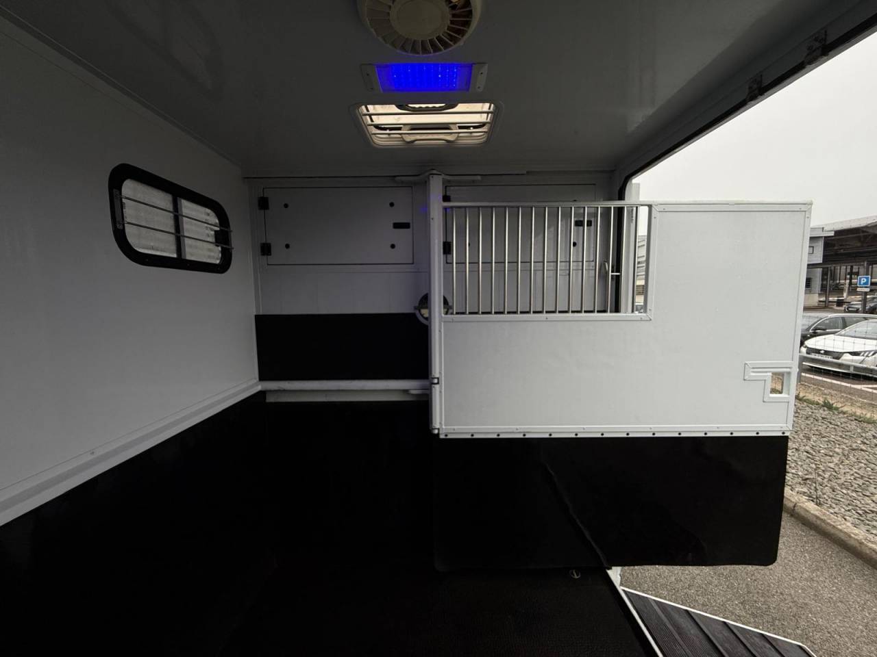 Van per Cavalli MTM FILOVAN MASTER  2016 Occasione