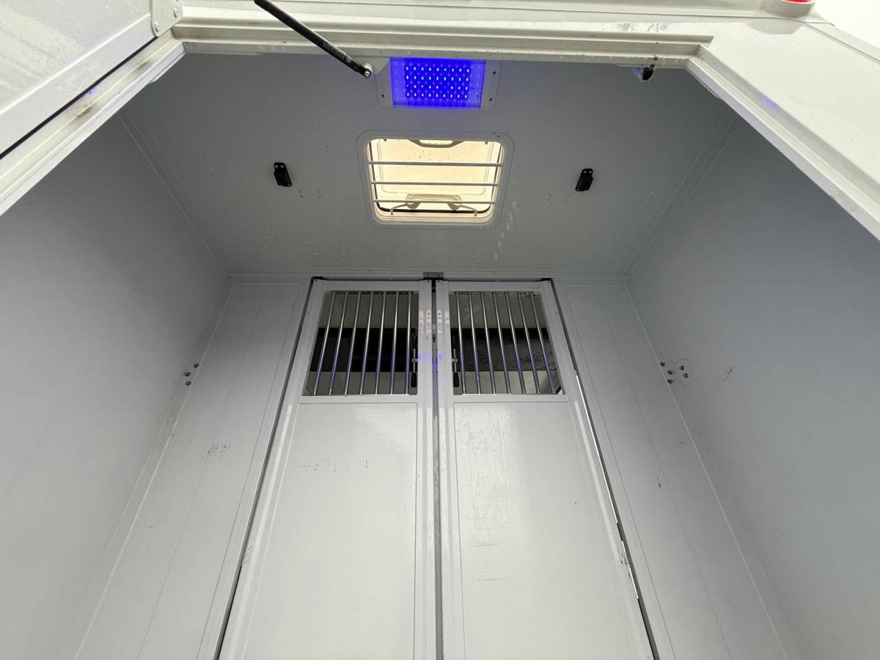 Van per Cavalli MTM FILOVAN MASTER  2016 Occasione