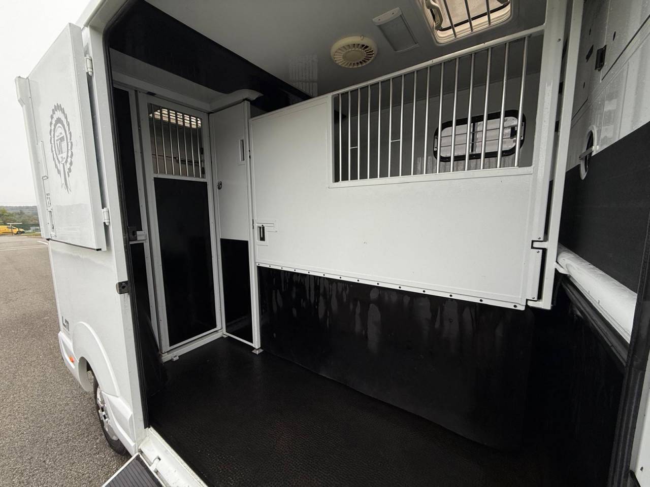 Van per Cavalli MTM FILOVAN MASTER  2016 Occasione