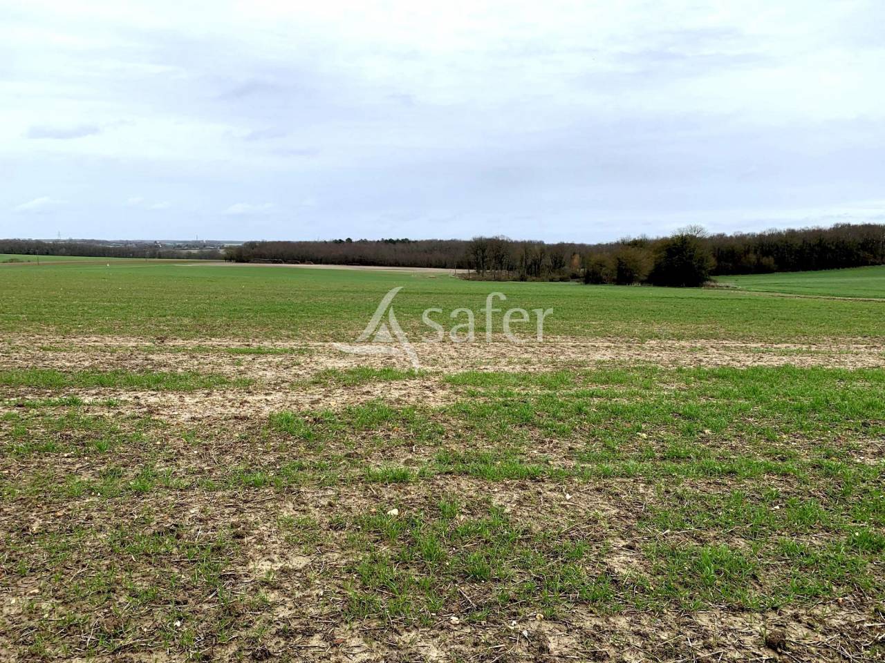 Azienda agricola In vendita Indre-et-Loire