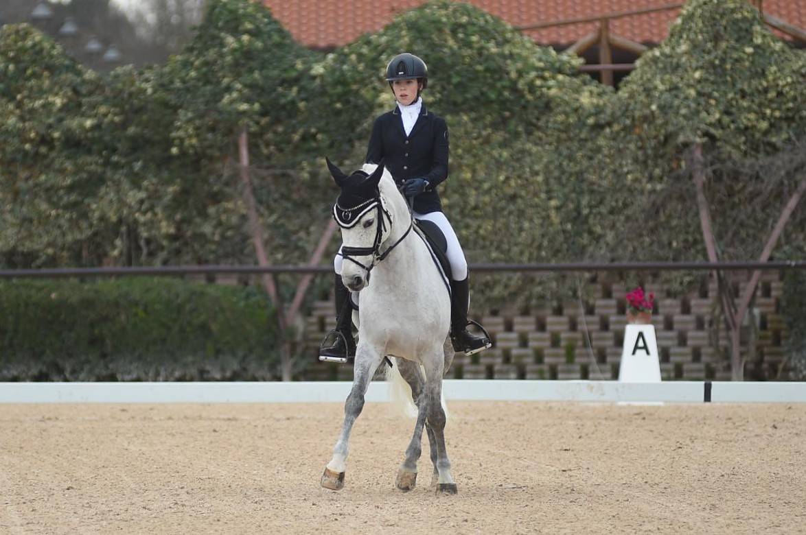 ULIOR DE BELEBAT Pony FEI Francese da Sella 2008 Grigio