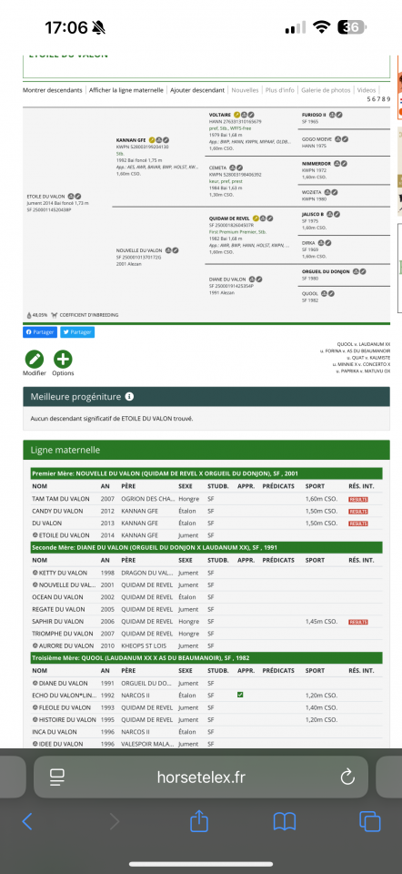 Cavalla Sella Francese In vendita 2014 Nero