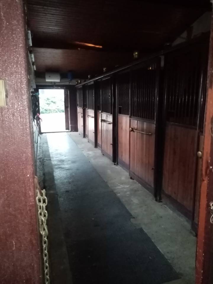 Scuderie e area recintata equestre con villa e piscina