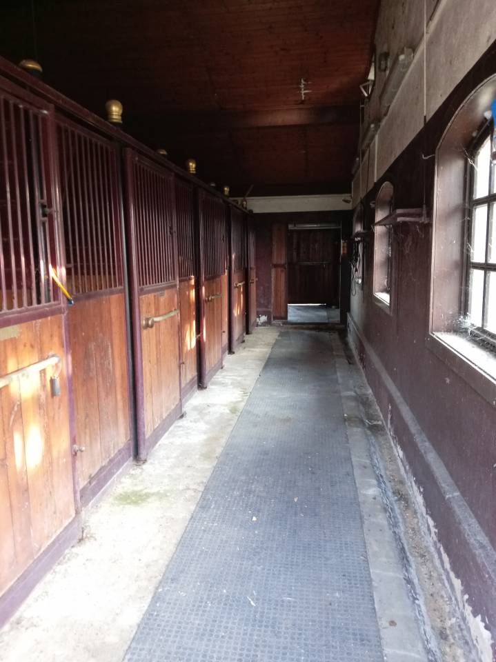 Scuderie e area recintata equestre con villa e piscina