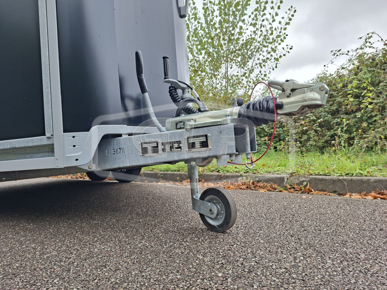 Trailer Ifor Williams HB 511 PONT PORTE 2 Cavalli 2025 Nuovo