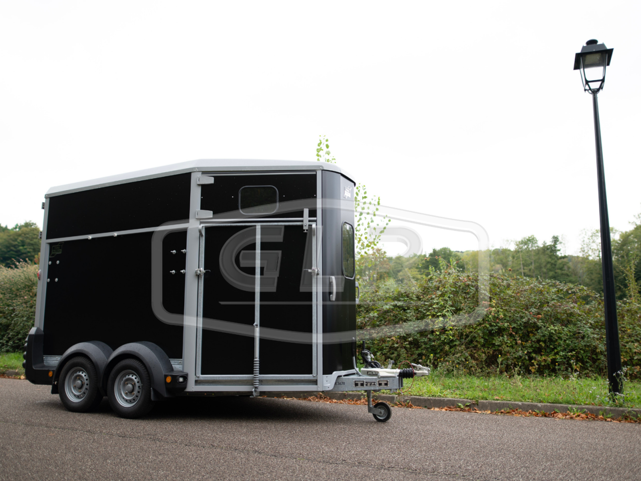 Trailer Ifor Williams HB 511 PONT PORTE 2 Cavalli 2025 Nuovo