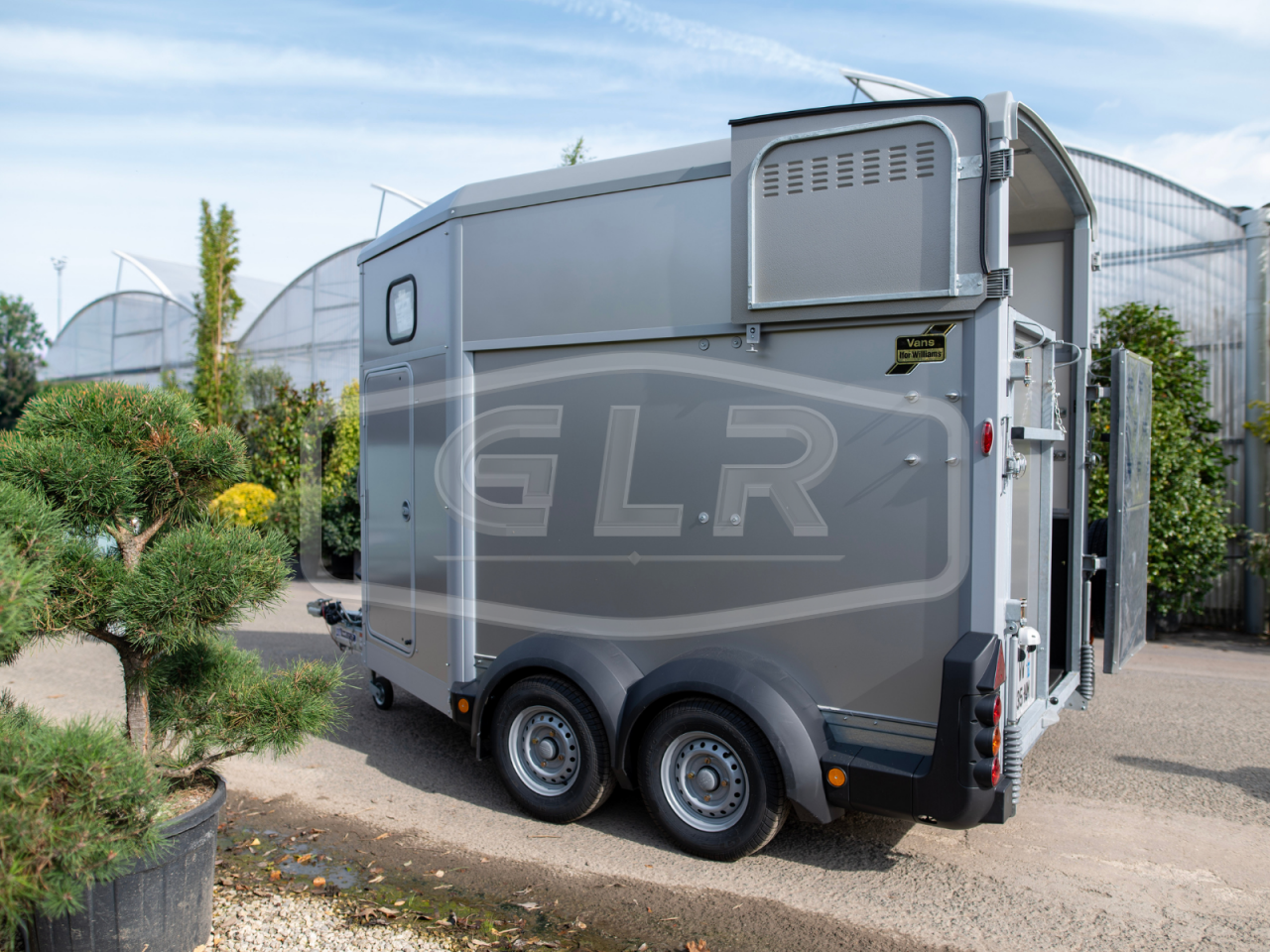 Trailer Ifor Williams HB 511 DIAGONAL PP 2 Cavalli 2025 Nuovo