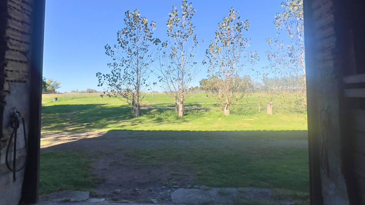 Proprietà equestre In vendita Landes