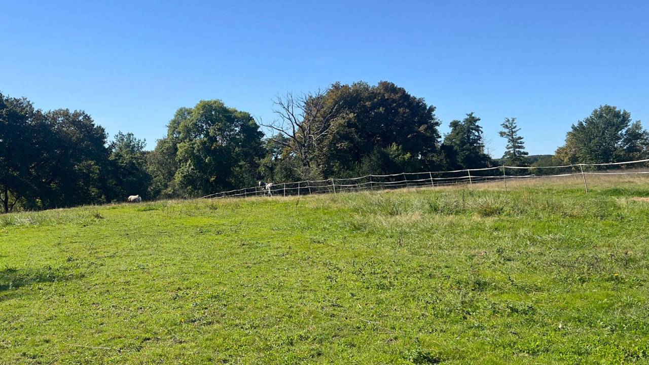 Proprietà equestre In vendita Landes