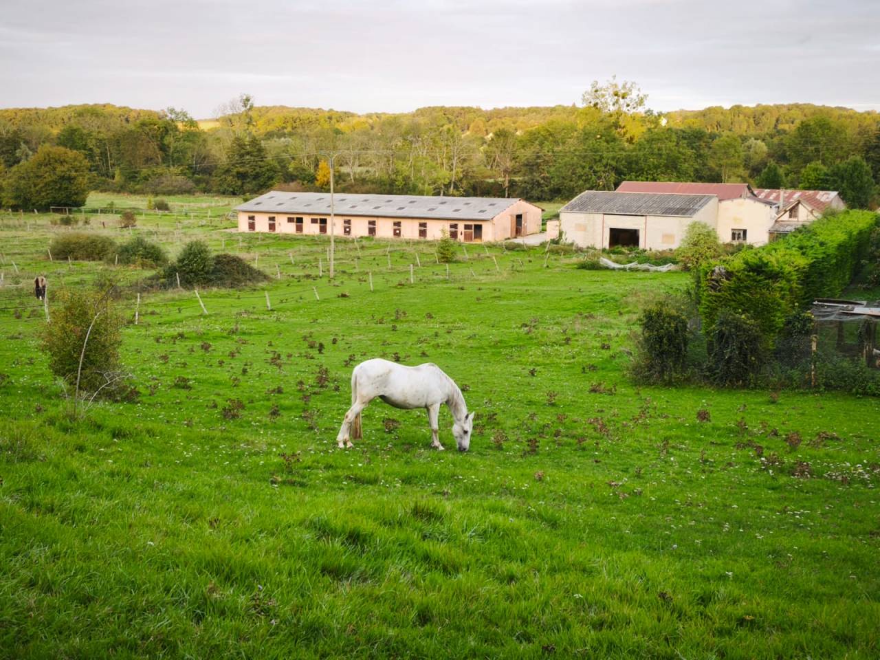 Centro di stagione cavallo In vendita Yonne