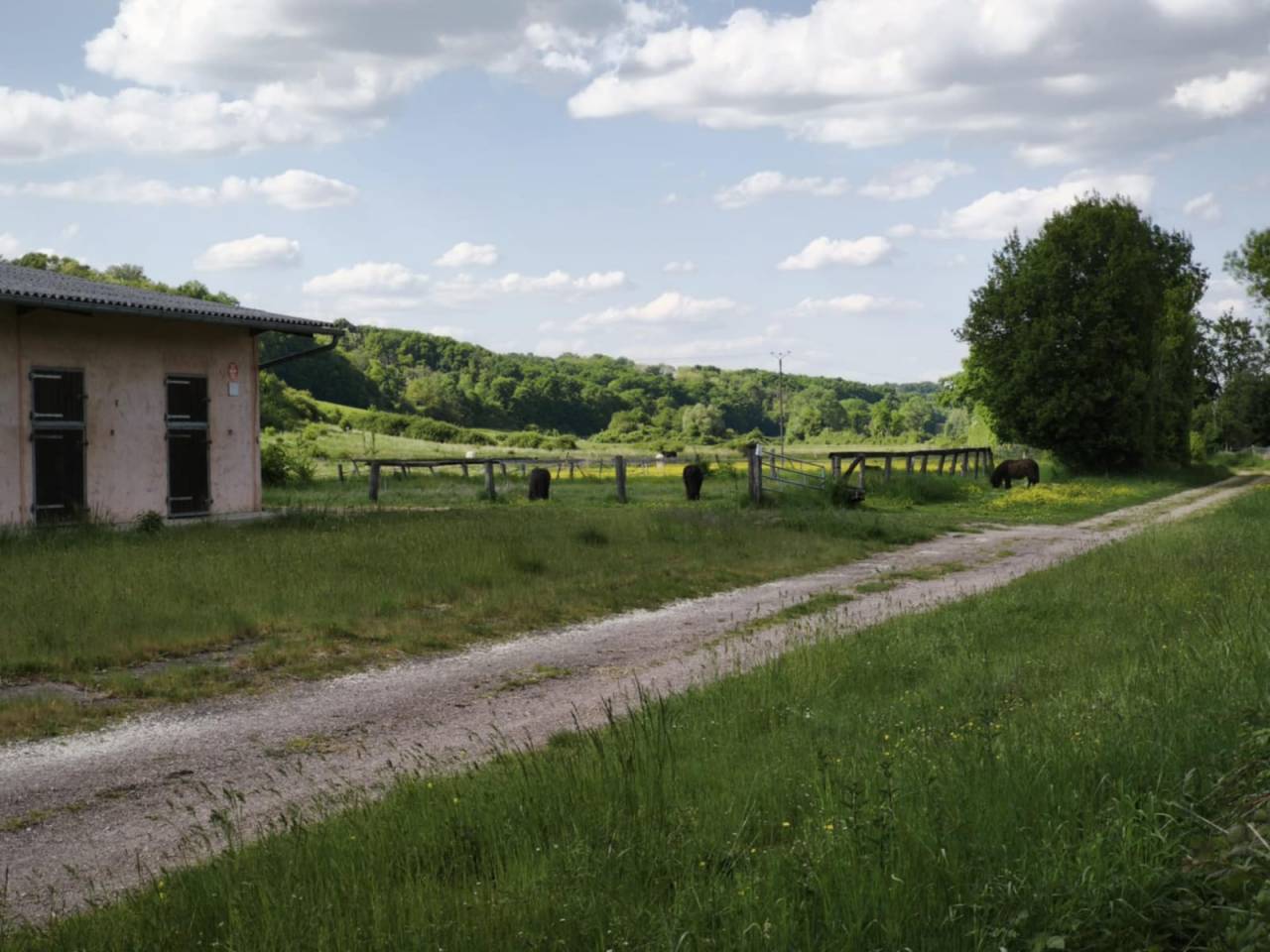 Centro di stagione cavallo In vendita Yonne