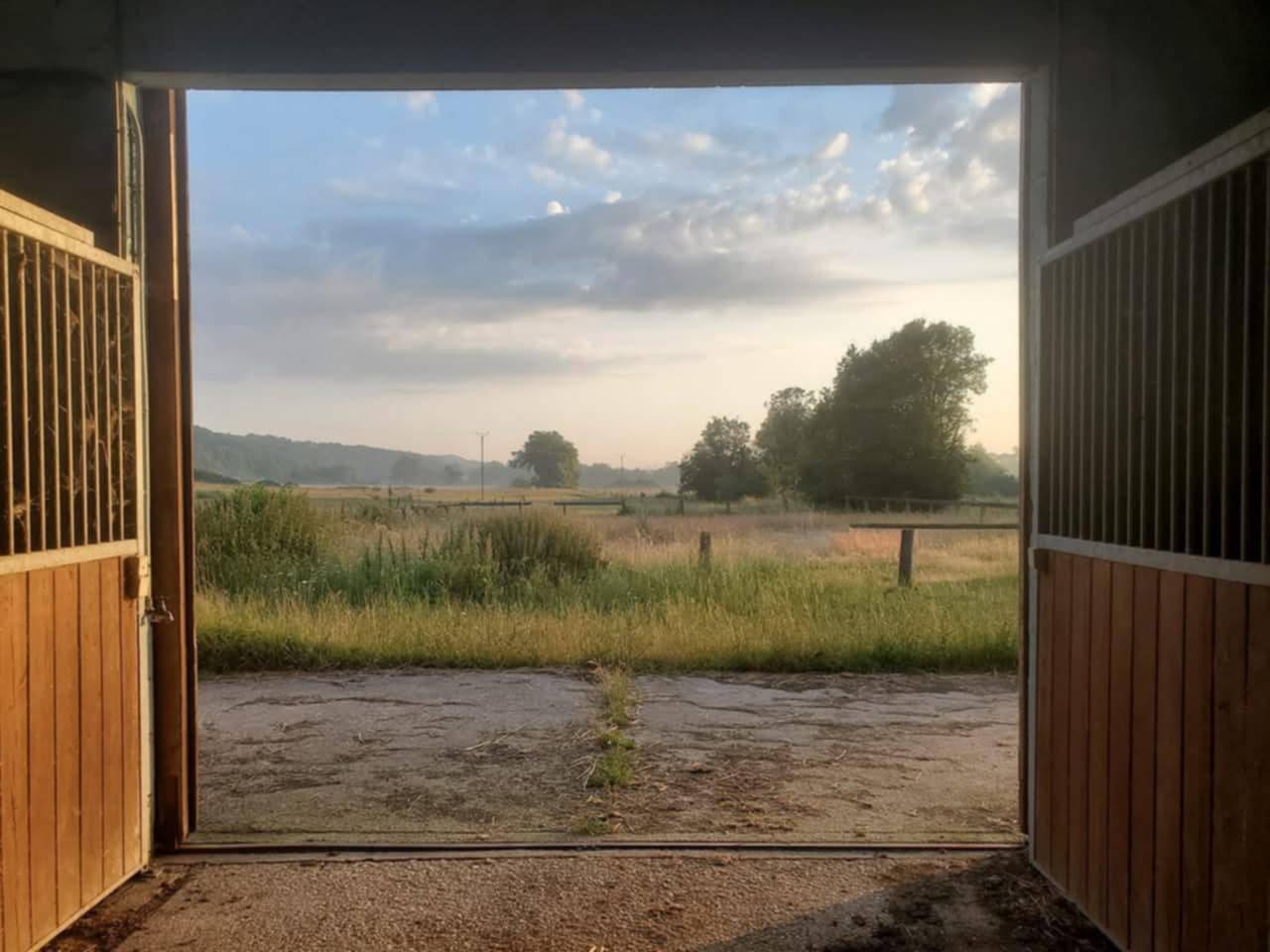 Centro di stagione cavallo In vendita Yonne