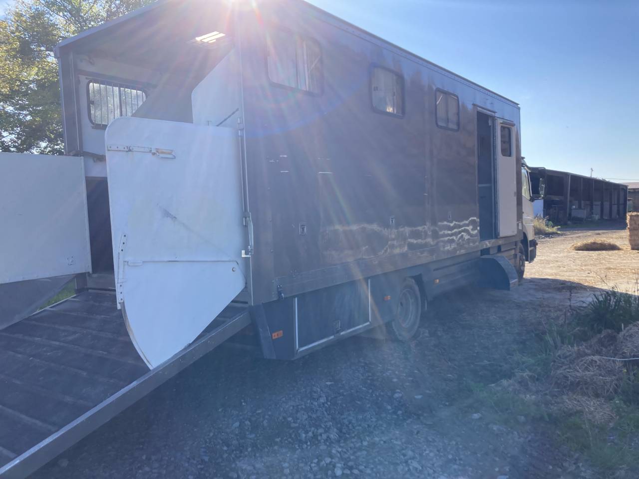 Camion per Cavalli Mercedes Atego 1999 Occasione