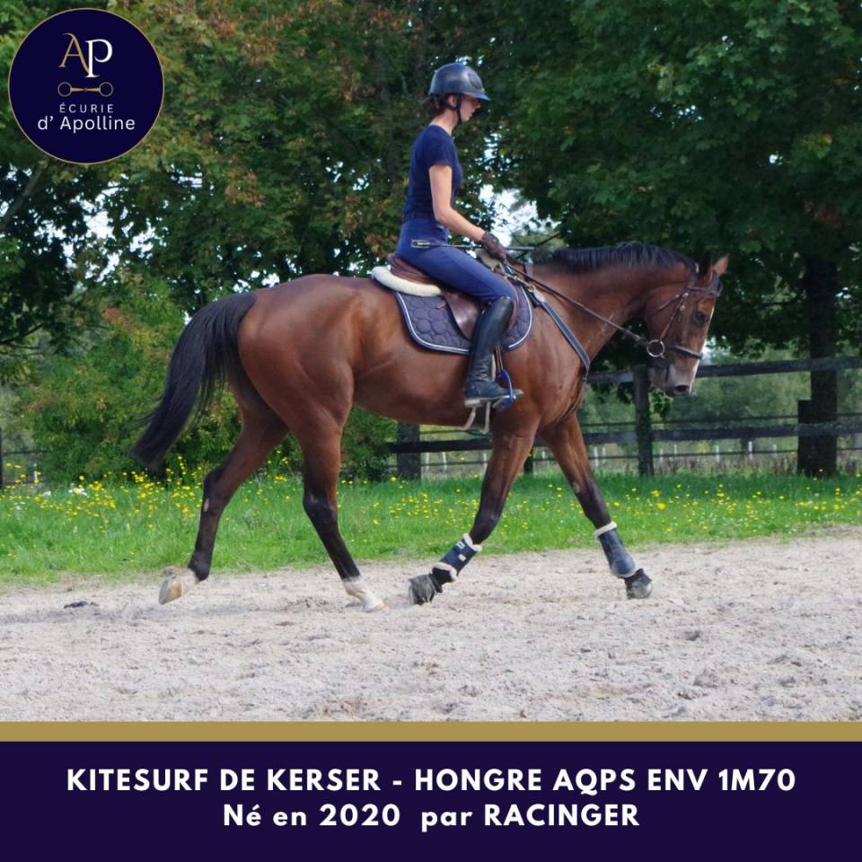 Castrone AQPS In vendita 2020 Baio