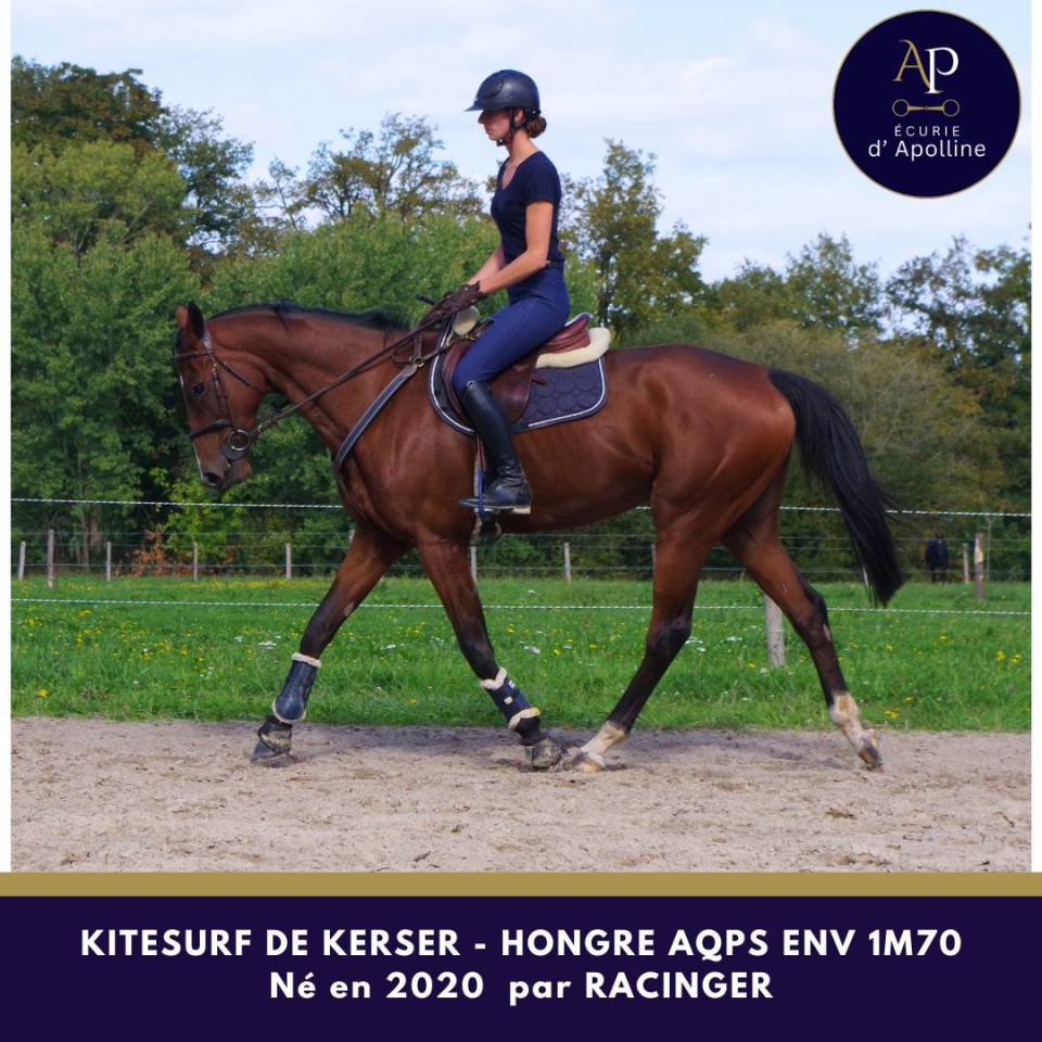 Castrone AQPS In vendita 2020 Baio