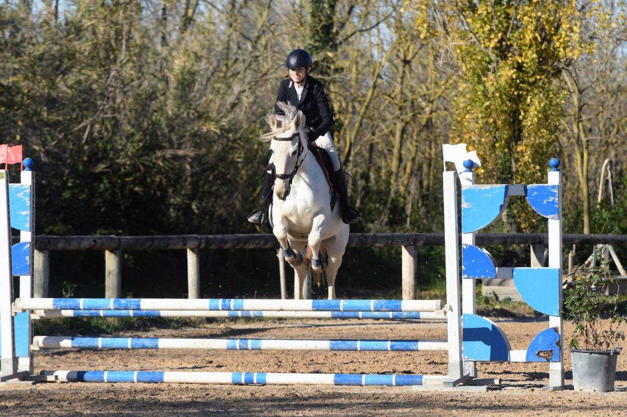 In vendita: cavalla Bella Trix – 9 anni – Anglo Arabo S