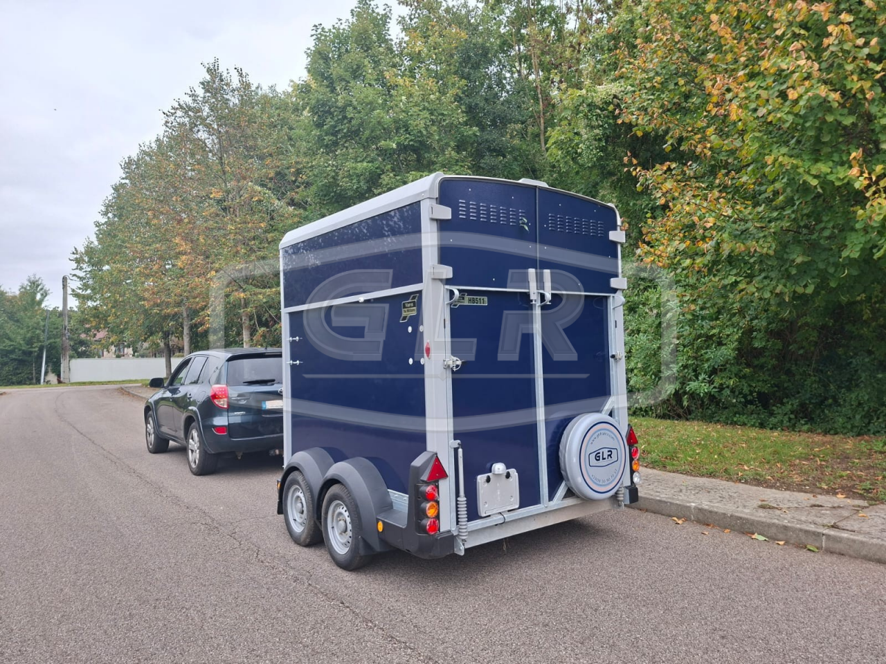 Trailer Ifor Williams HB 511 2 Cavalli 2025 Nuovo