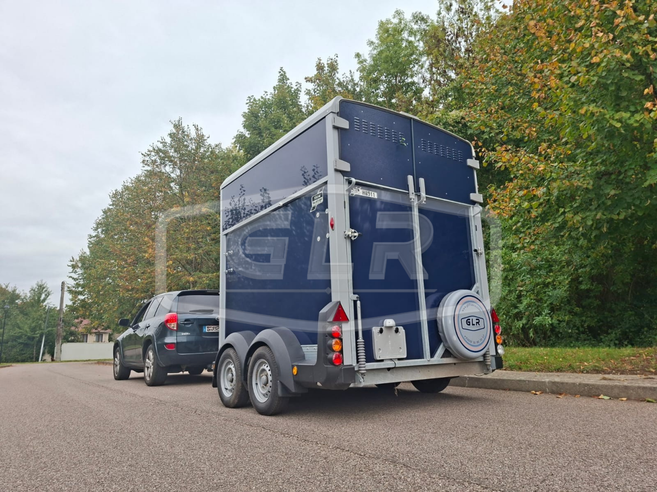 Trailer Ifor Williams HB 511 2 Cavalli 2025 Nuovo