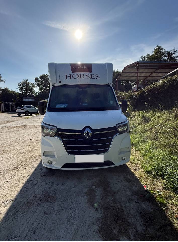 Van per Cavalli Trans Box Master 2025 Nuovo