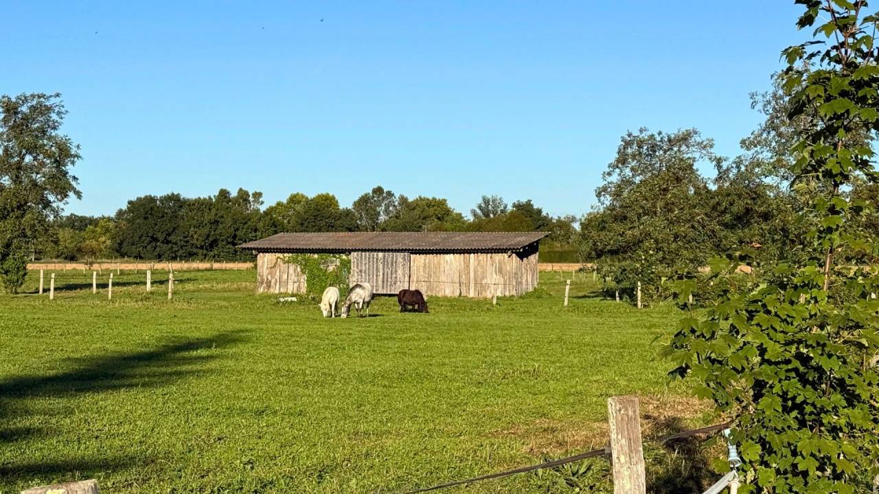 Centro ippico In vendita tarn