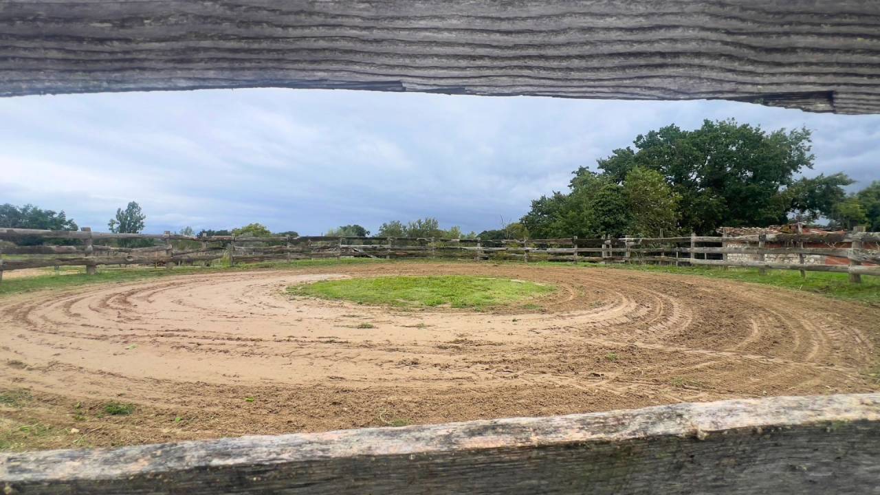 Centro ippico In vendita tarn