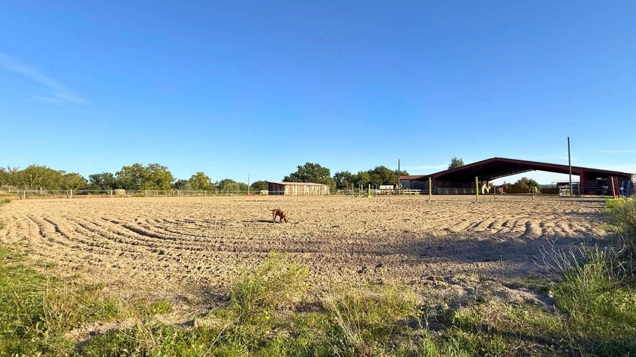 Centro ippico In vendita tarn