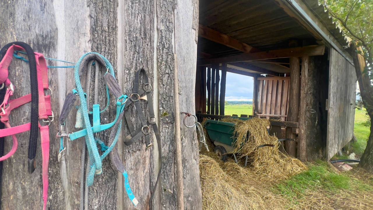 Centro ippico In vendita tarn