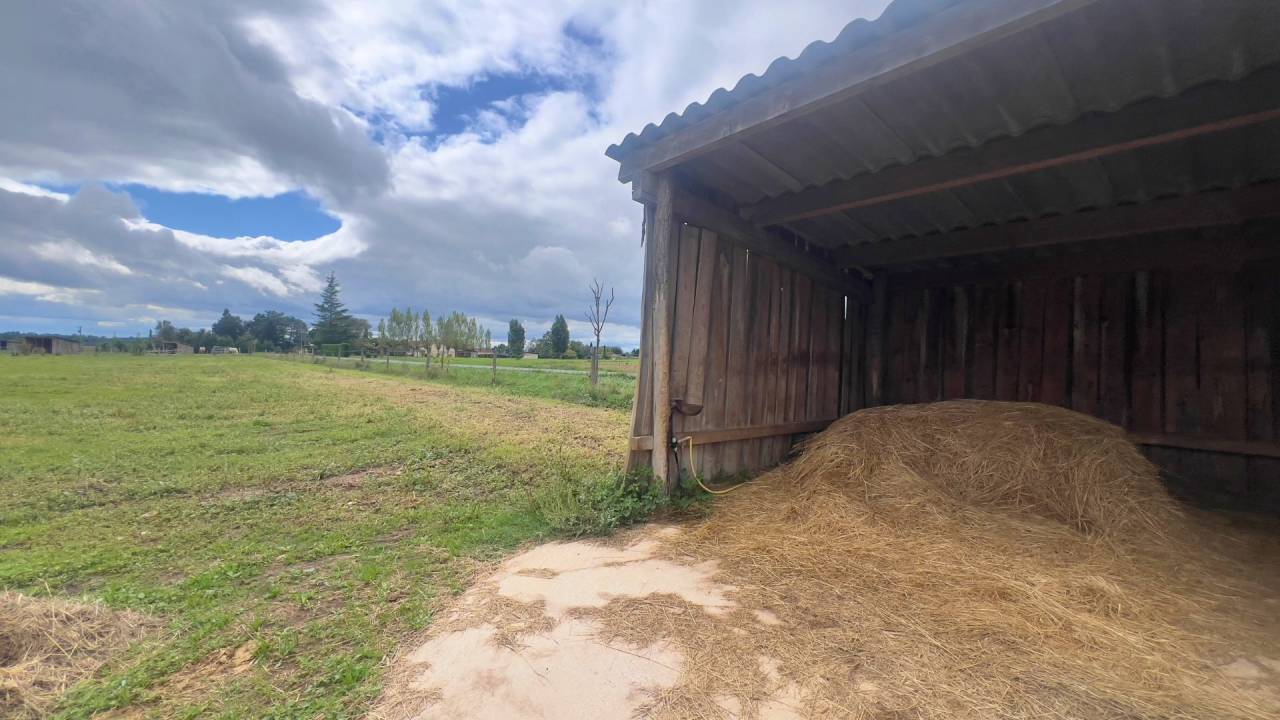 Centro ippico In vendita tarn