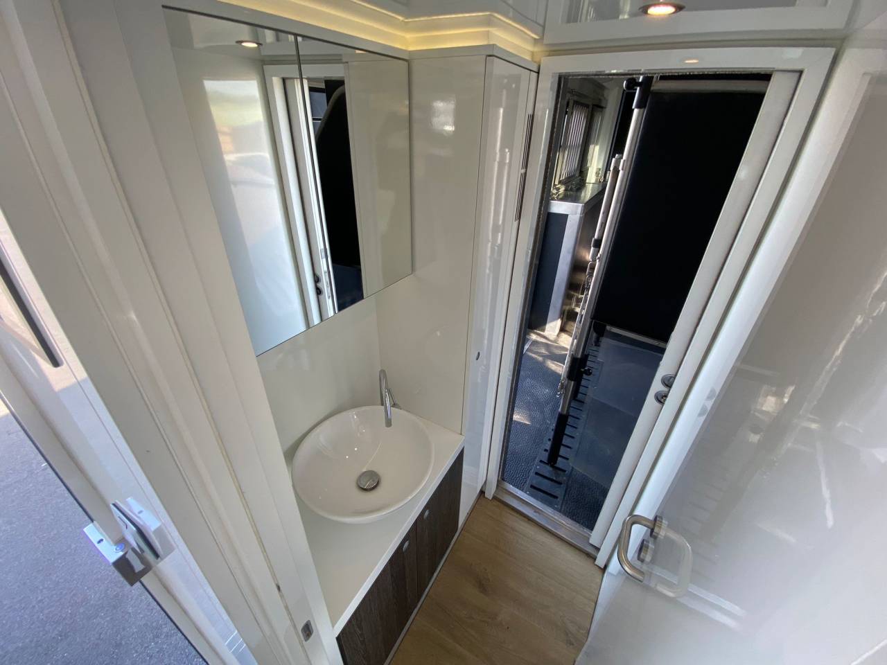 Camion per Cavalli Scania P 410 2017 Occasione