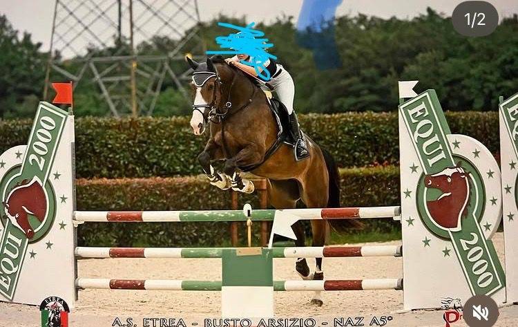 Vendesi cavalla del 2018