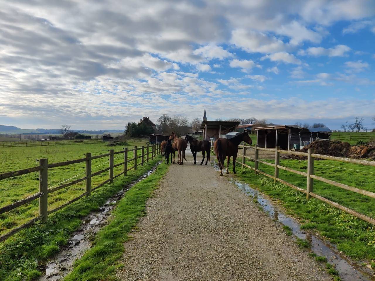 Proprietà equestre In vendita Haute-Saône