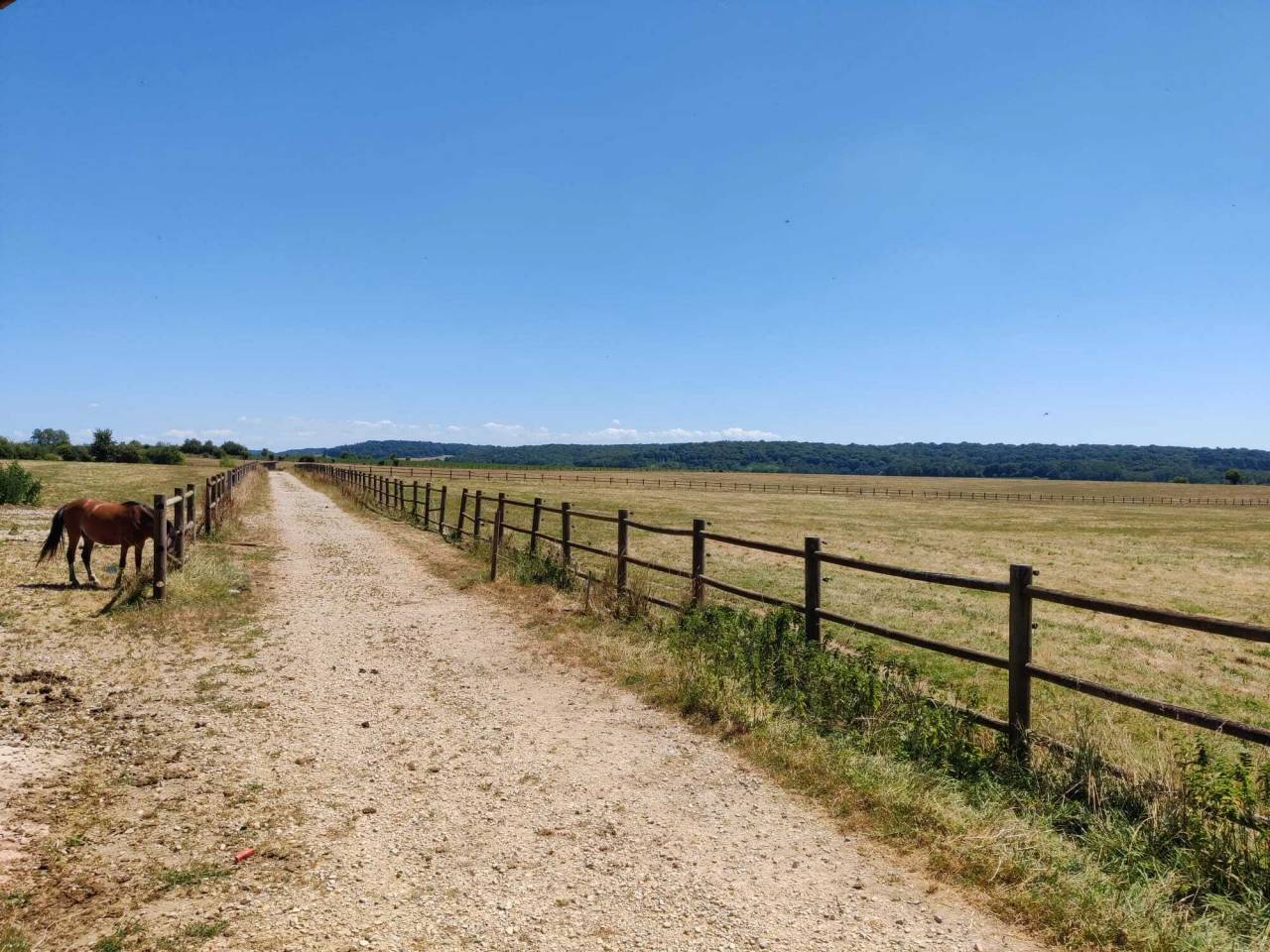 Proprietà equestre In vendita Haute-Saône