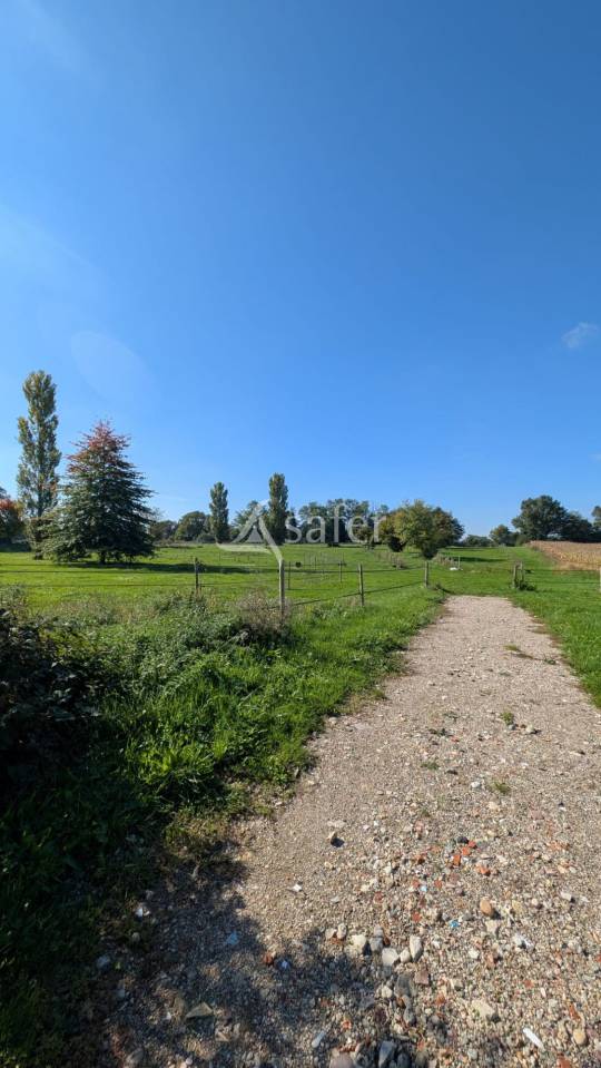 Proprietà equestre In vendita Ain