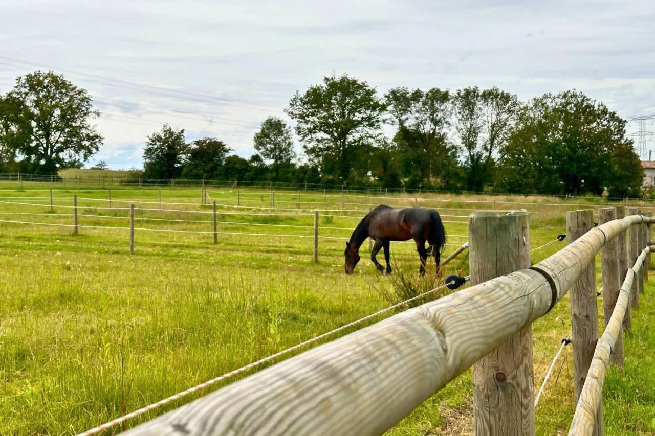 Proprietà equestre In vendita Ain